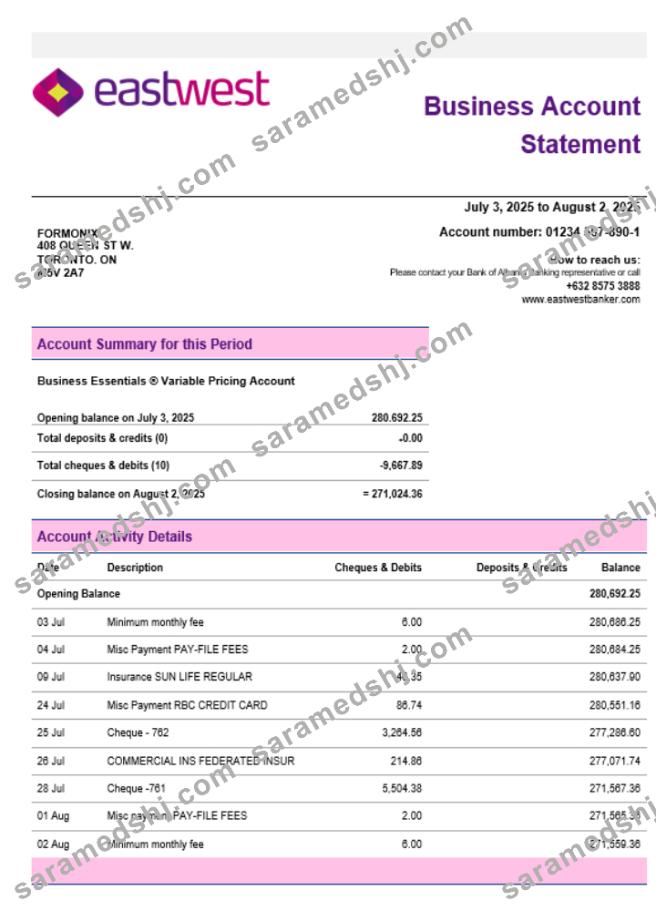 EastWest business firm account statement Word snd PDF format